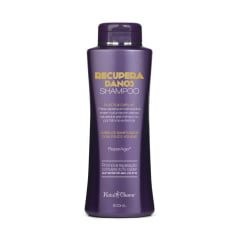Shampoo Recupera Danos 500g